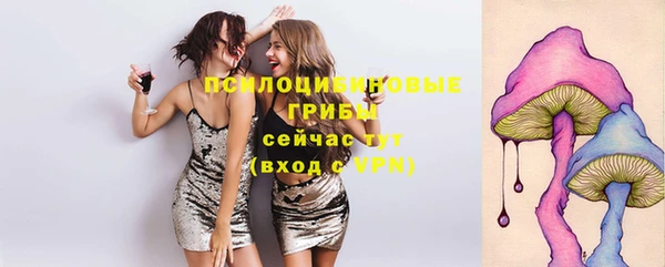 прущие крисы Алексеевка
