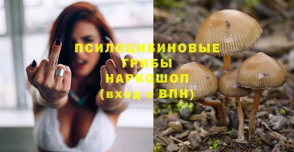 прущие крисы Алексеевка
