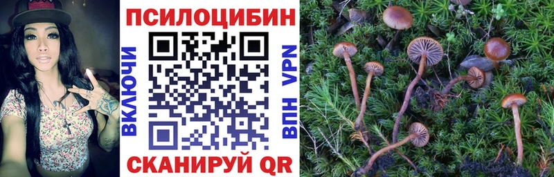 Псилоцибиновые грибы GOLDEN TEACHER  Монино 